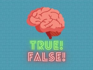 True or False Quiz - Fun Facts Game Online Trivia Game