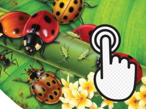 Ladybug Clicker Online Arcade Game
