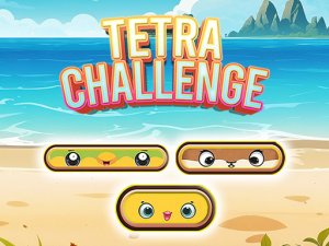 Tetra Challenge Puzzle Game - Puzzle Game