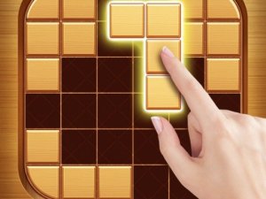 Wood Block Puzzle - Brain Game Online - Puzzle Game