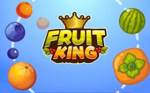 Fruit Merge Puzzle